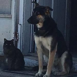 Meet your Posher, Arianna